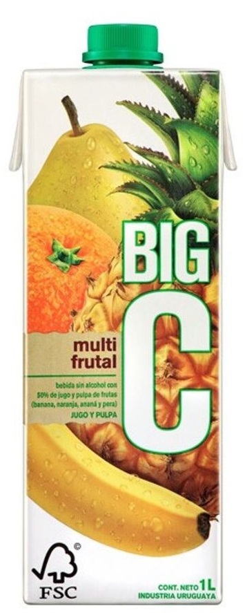 JUGO BIG MULTIFRUTAL