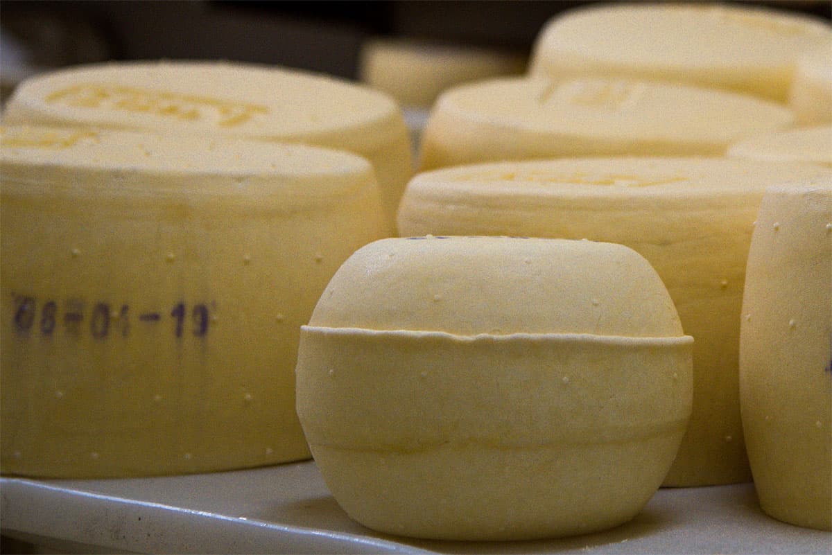 QUESO SARDO LA ESTACION  X KG